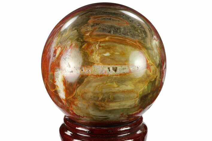 Colorful Petrified Wood Sphere - Madagascar #133832